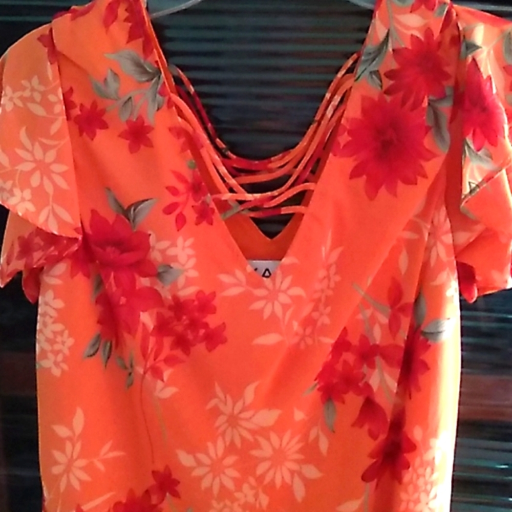 Womans dress size 16 peach color